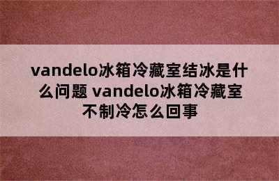 vandelo冰箱冷藏室结冰是什么问题 vandelo冰箱冷藏室不制冷怎么回事